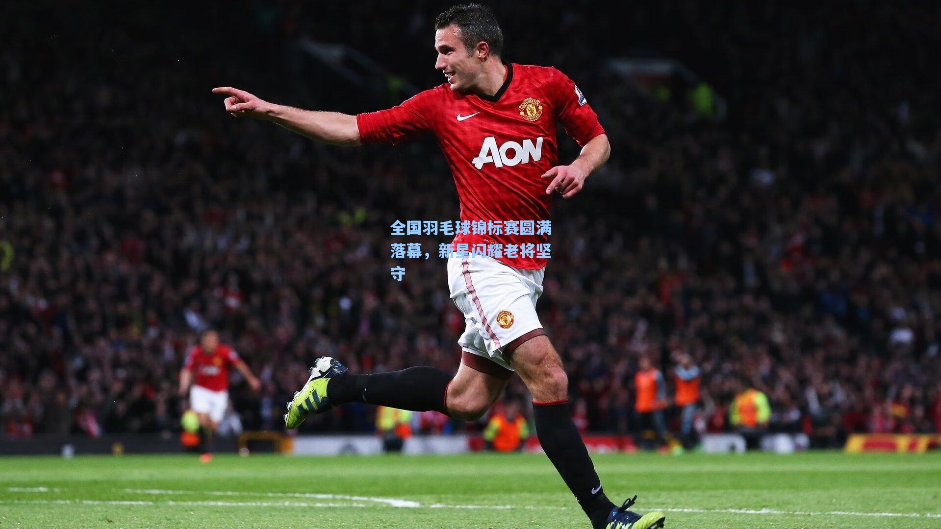 全国羽毛球锦标赛圆满落幕，新星闪耀老将坚守