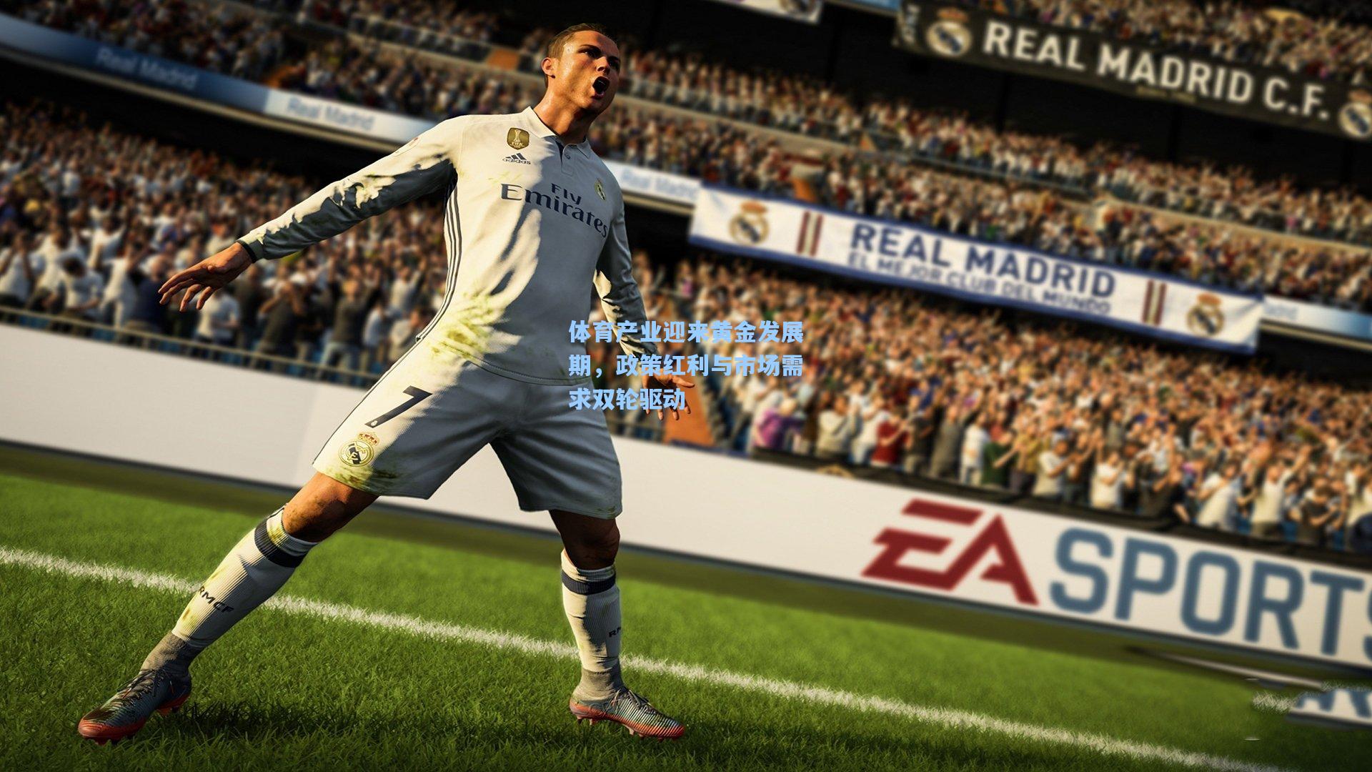 体育产业迎来黄金发展期，政策红利与市场需求双轮驱动